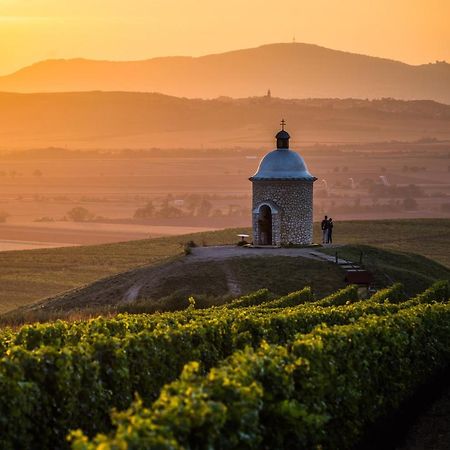Vinný sklep Vinoza Velké Bílovice Velke Bilovice Exterior foto