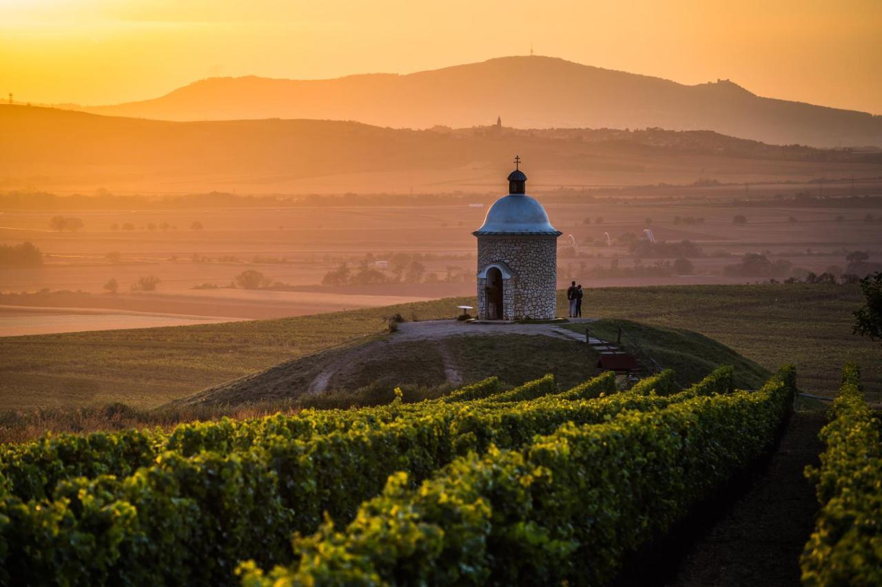 Vinný sklep Vinoza Velké Bílovice Velke Bilovice Exterior foto