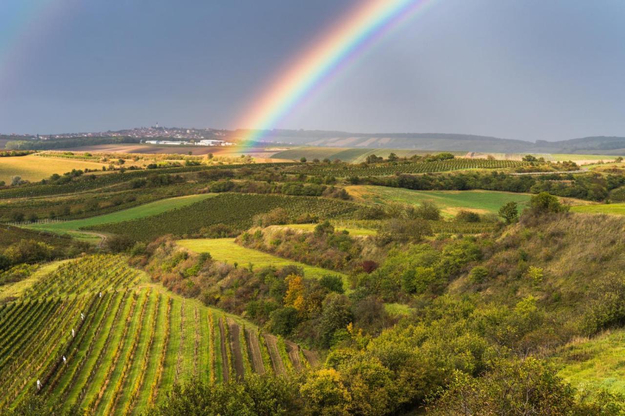 Vinný sklep Vinoza Velké Bílovice Velke Bilovice Exterior foto
