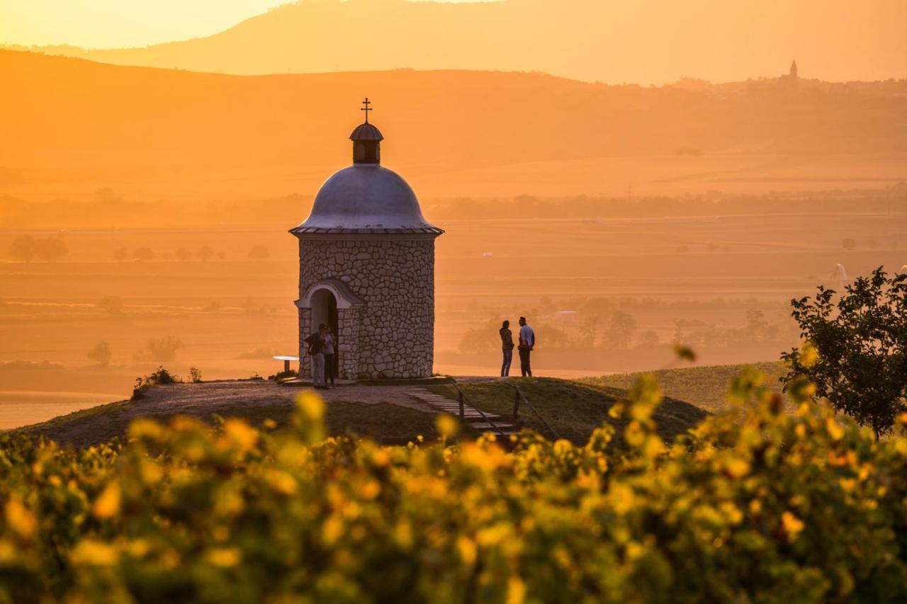 Vinný sklep Vinoza Velké Bílovice Velke Bilovice Exterior foto