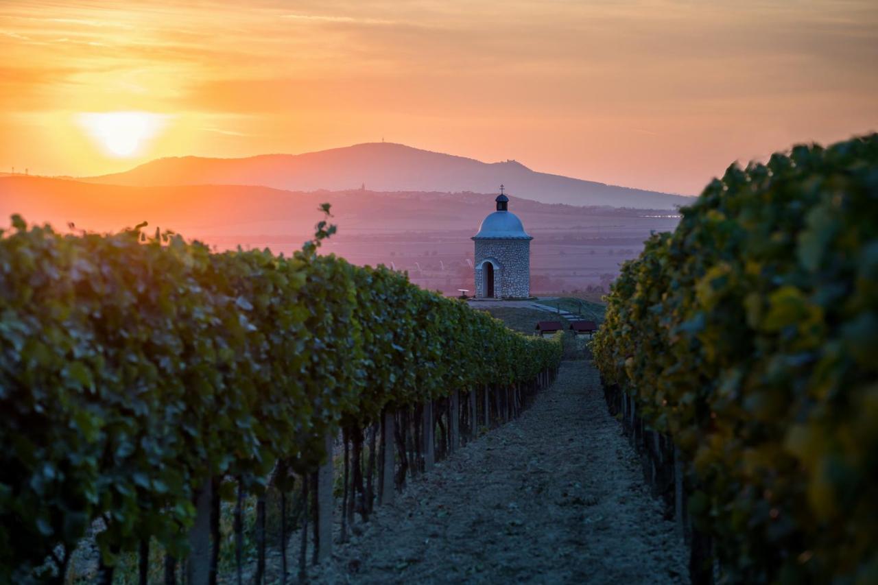 Vinný sklep Vinoza Velké Bílovice Velke Bilovice Exterior foto