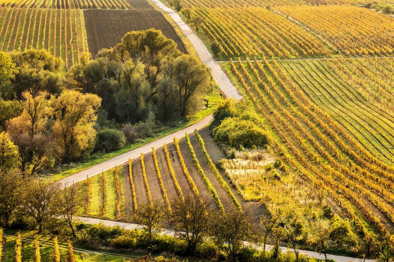 Vinný sklep Vinoza Velké Bílovice Velke Bilovice Exterior foto